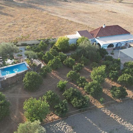 Villa Los Arcos Málaga Extérieur photo